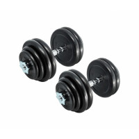 Гантелі Fitnessport DB-02-31 кг