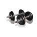 Гантели Toorx 20 кг з кейсом (VAL-20DGN)