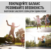 Батут EnergyFIT GB10102-8FT (D244)