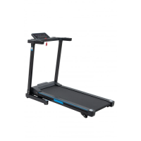 Беговая дорожка EcoFit E-8420