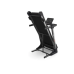 Бігова доріжка Everfit TFK 390 (TFK-390)