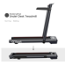 Беговая дорожка Oyeet Walking&Running TM-YT102 UA