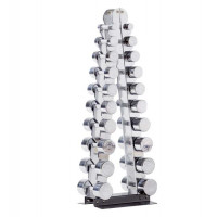 GYM80 Sygnum Chrome Dumbell Set 1-10kg in pairs with Rack (4060)