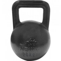 Newt NE-100-2400