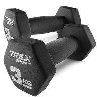 Гантели для фитнеса Trex Sport TX-030VD 2x3 кг
