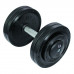 Гантели InterAtletika ST552.12 12 кг