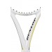 Большой теннис Dunlop Biomimetic S5.0 Lite G3
