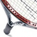 Большой теннис Dunlop Biomimetic M300 G3