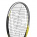 Большой теннис Dunlop Biomimetic M500 G3