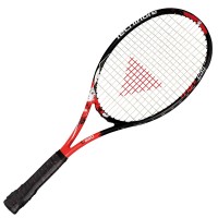 Большой теннис Tecnifibre Tfight 295
