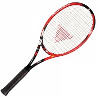 Большой теннис Tecnifibre Tfight 325