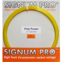Большой теннис Signum Pro Poly Power