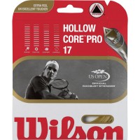 Великий теніс Wilson Hollow Core Pro 17