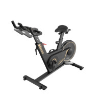 Спинбайк Kingsmith WalkingPad Spinning bike PB08S black